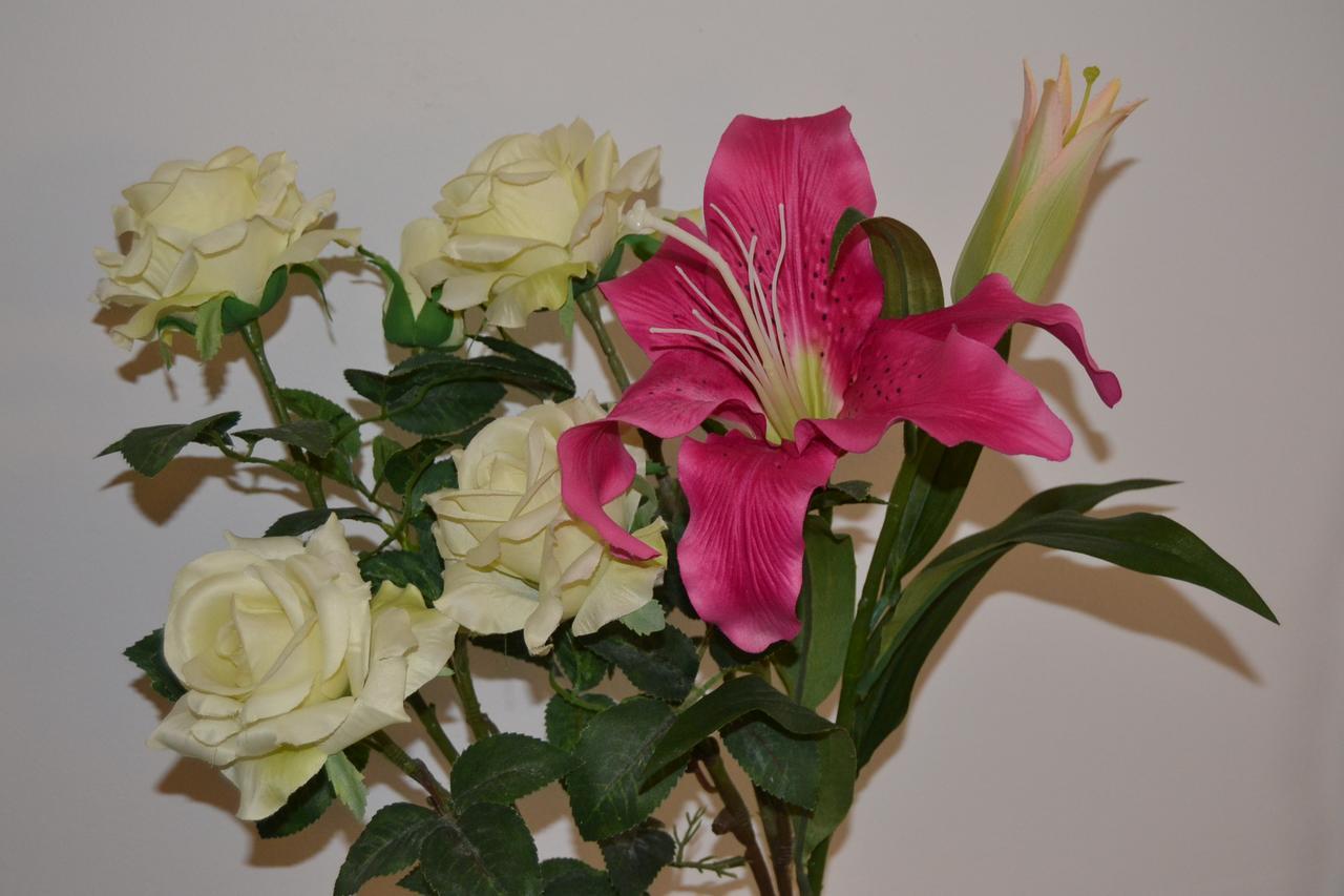 בולוניה Central Avenue B&B מראה חיצוני תמונה